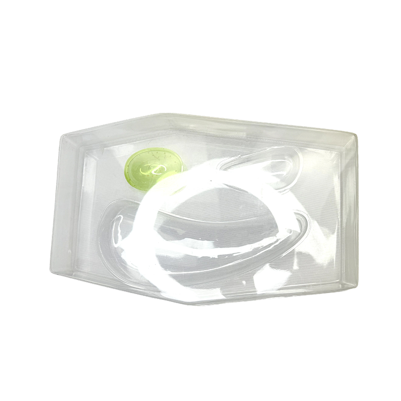 Plant cell structure model for biology teaching