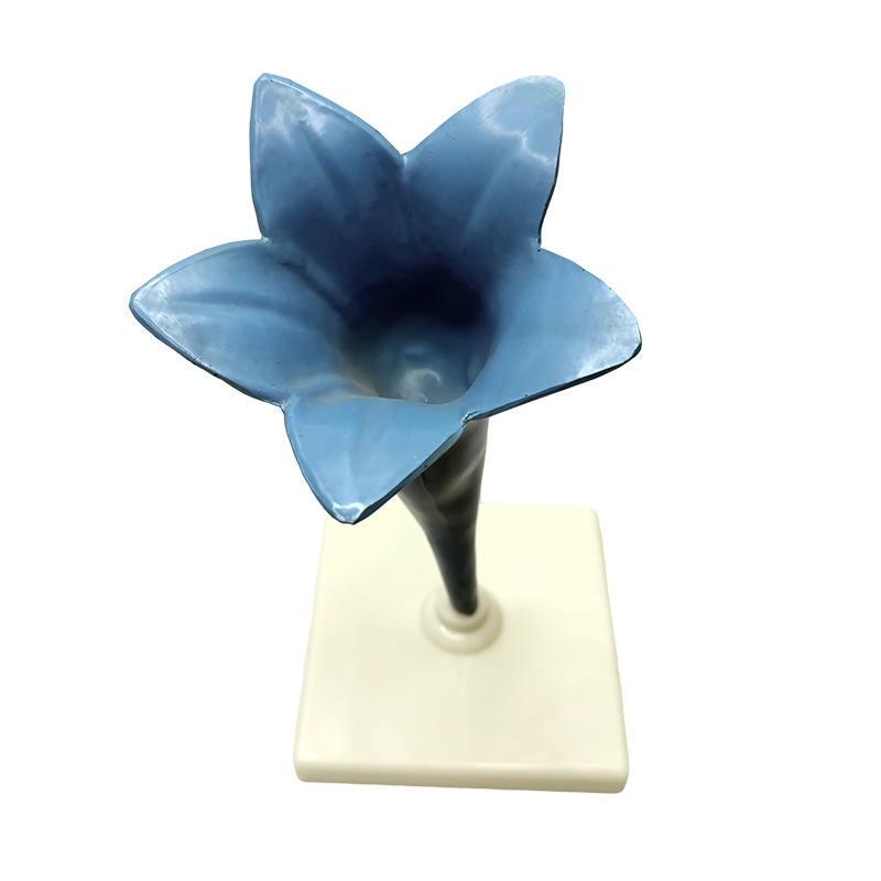 School teaching yujin fragrant flower model