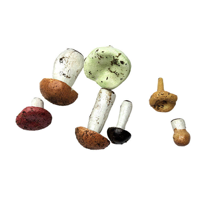 Educational equipment teaching simulation mushroom ornament