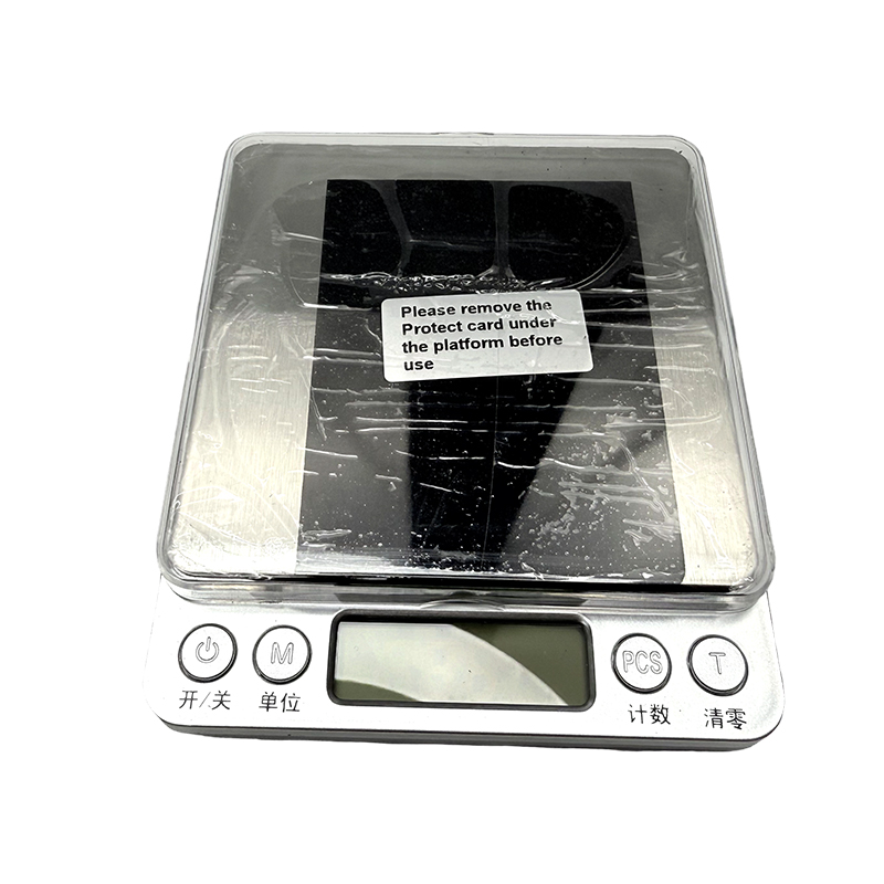 100g/0.02g small stainless steel electronic scale/high precision scale/ physics laboratory
